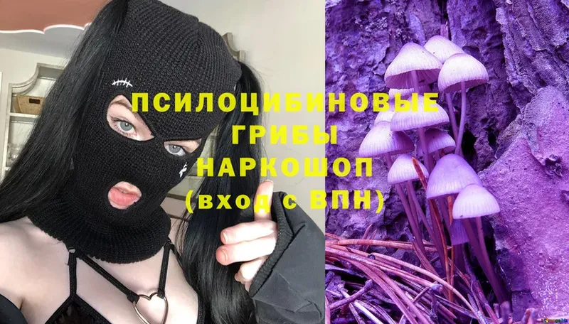 хочу наркоту  Касли  Галлюциногенные грибы Psilocybe 